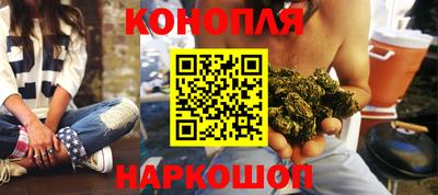 шишки Ярославль