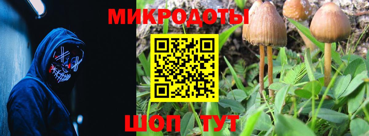 Псилоцибиновые грибы мицелий Вольск